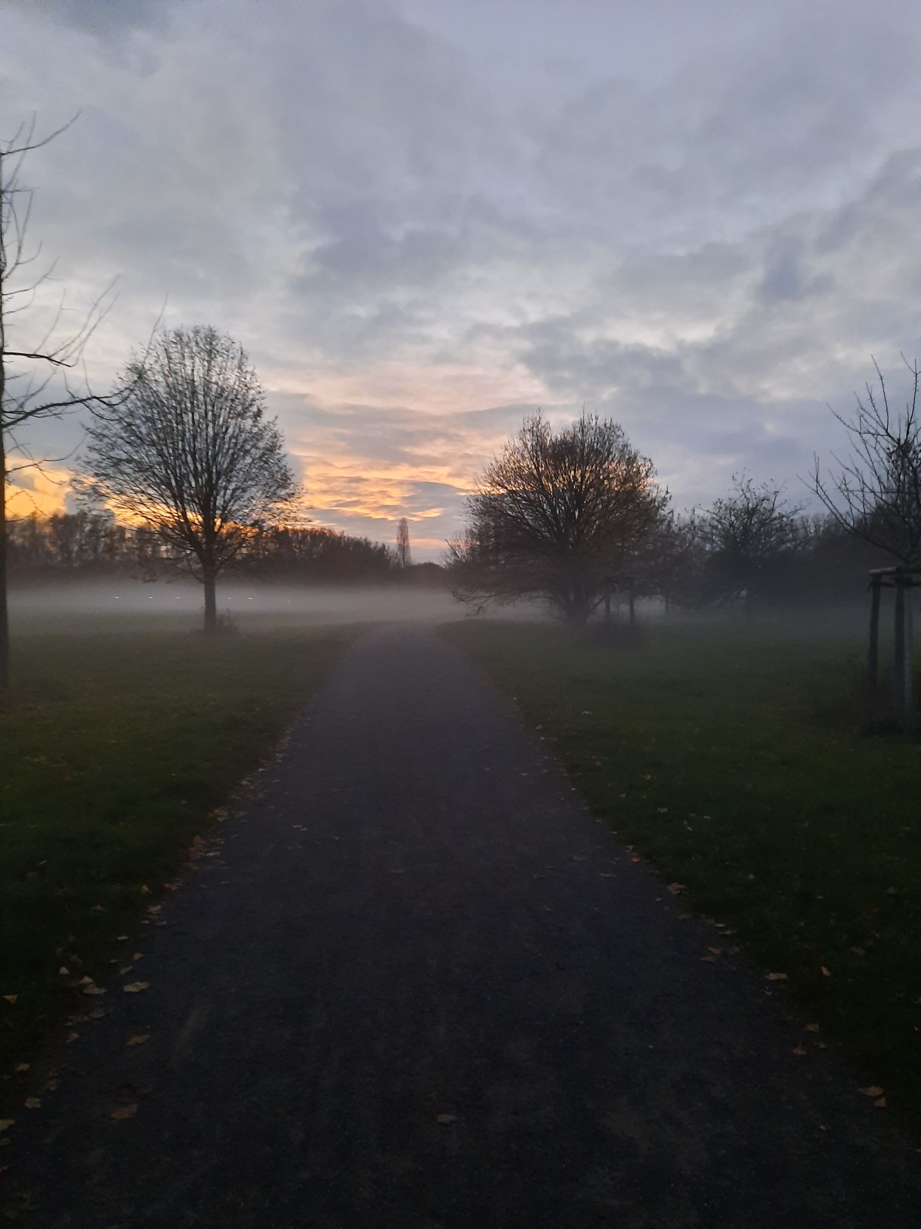 Die Psychologie macht den Weg frei für ein sorgenfreies Leben