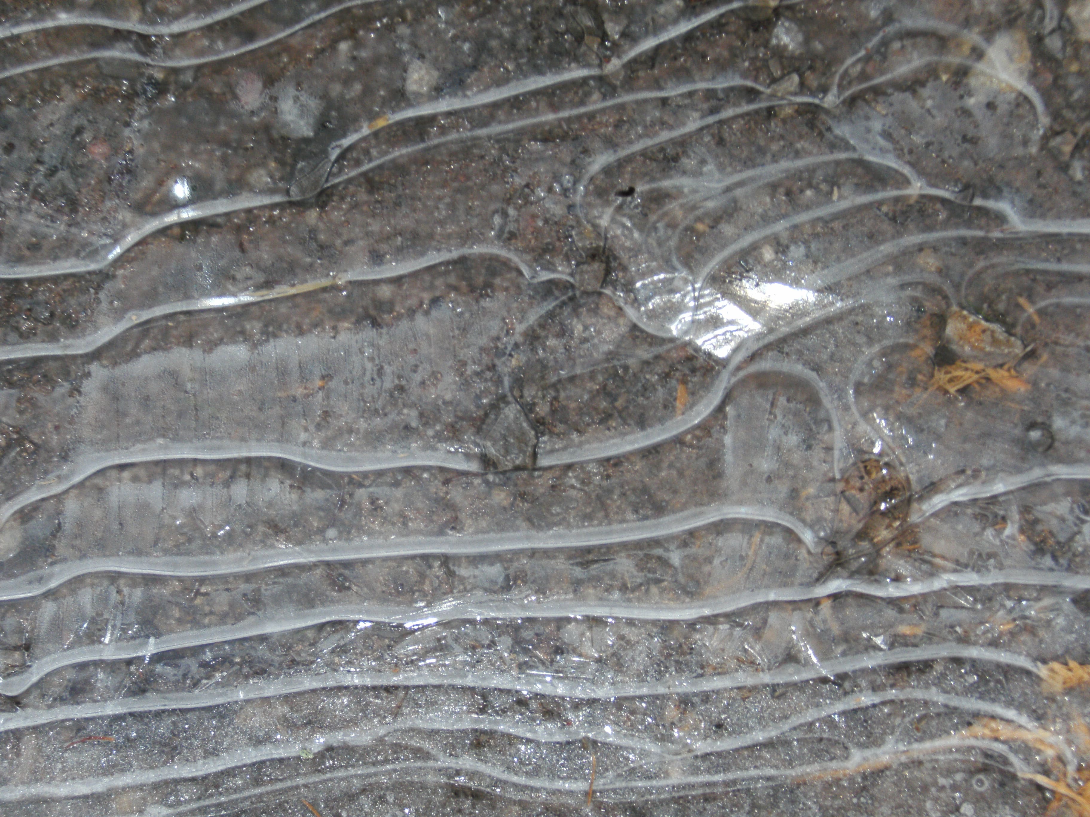 Die Psychologie macht den Weg frei für ein sorgenfreies Leben ohne Depressionen