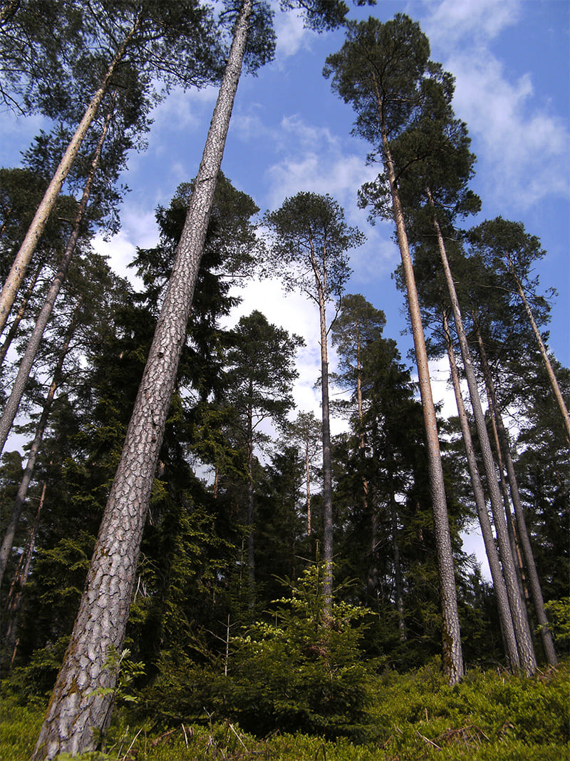 der Weg in die Wirklichkeit, Esstörungen beheben