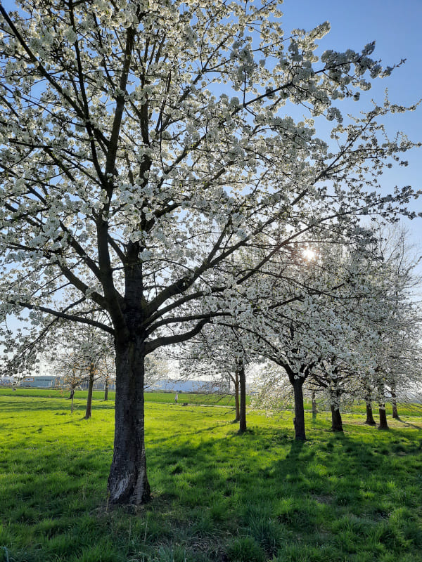 der Weg in die Wirklichkeit, Esstörungen beheben