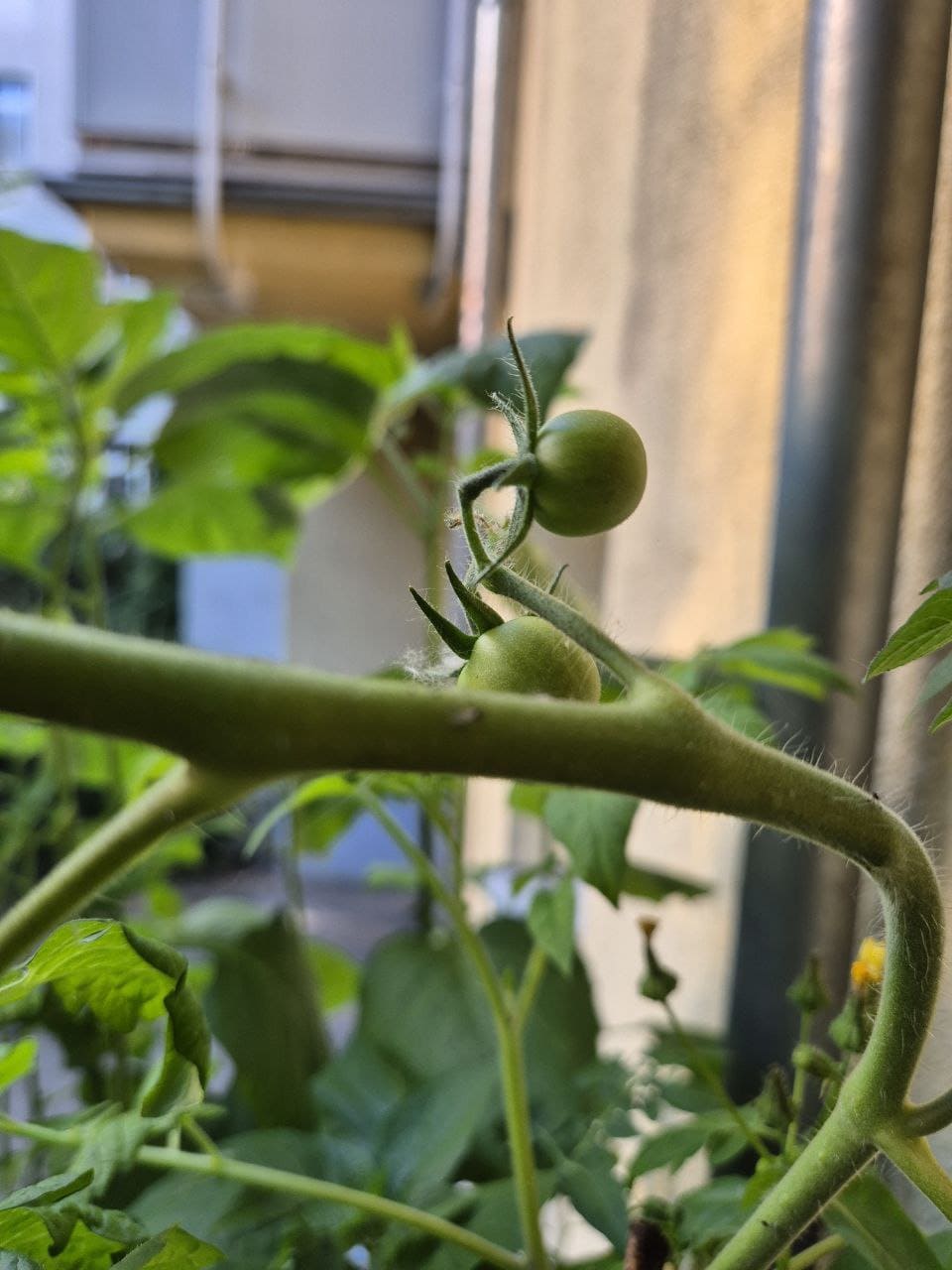 Die Psychologie muss den KI abhängigen Hilfe geben, den Weg frei machen für ein sorgenfreies Leben