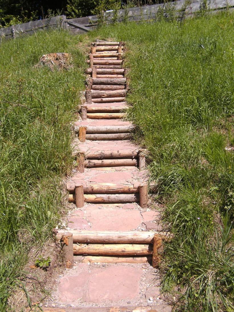 Die Psychologie macht den Weg frei für ein sorgenfreies Leben ohne Depressionen