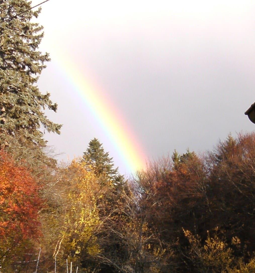 der Weg in die Wirklichkeit, Depression beheben